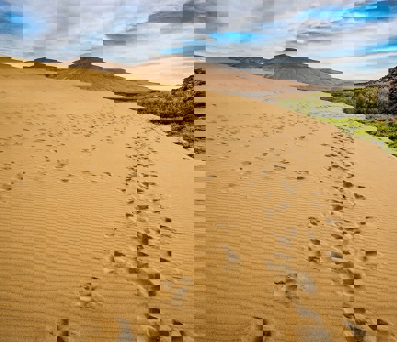 Corralejo Natural Park 