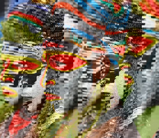 Goroka Tribal Festival