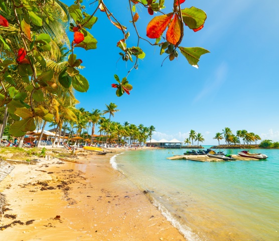 Guadeloupe Beach