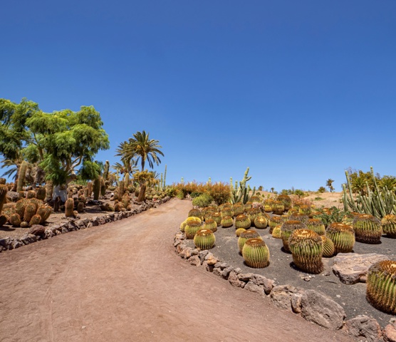Oasis Wildlife Fuerteventura 